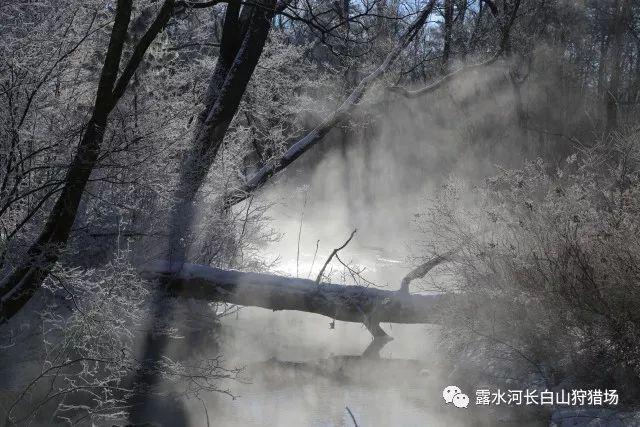 厉害了我的巧虎6
