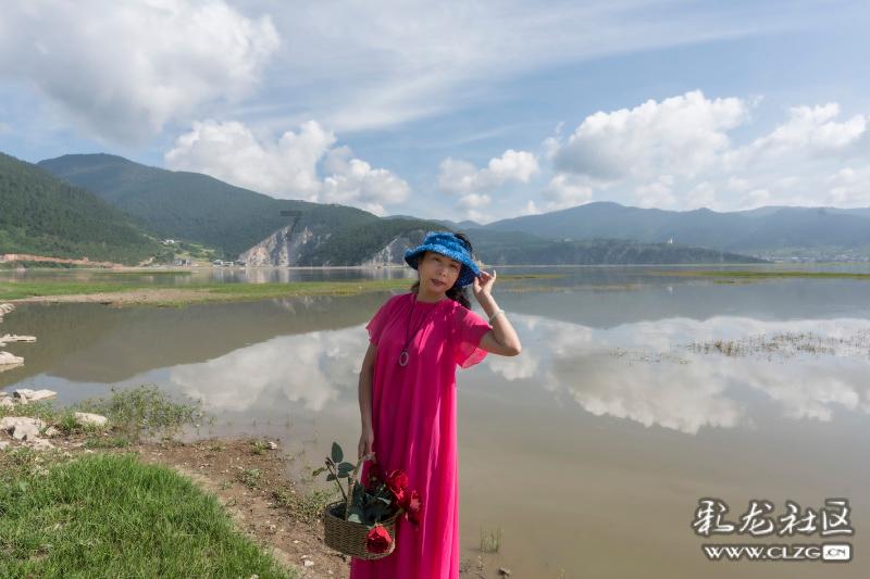 掉头发用啥洗头好?惊天地泣鬼神!终于不秃头了
