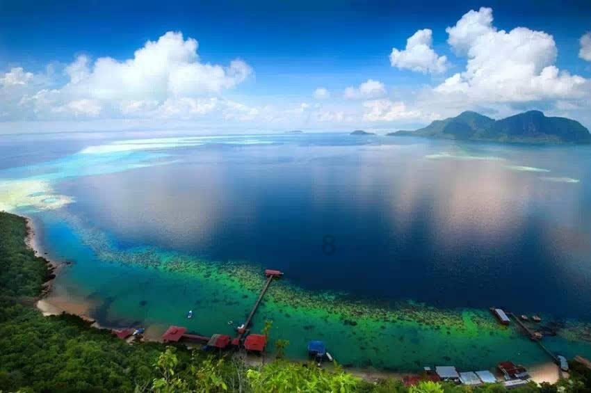 组装机械章鱼龙