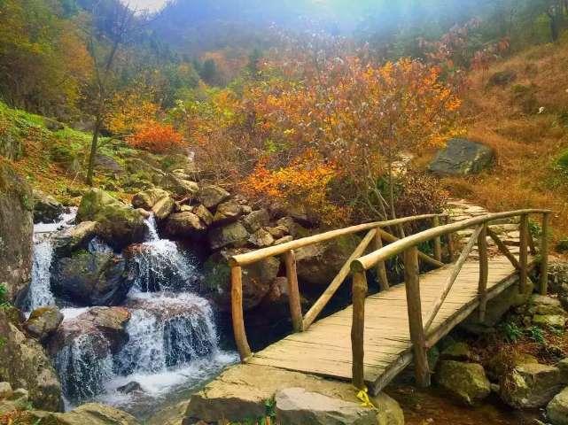 苹果好玩手游排行榜上都有哪些？游戏画面
