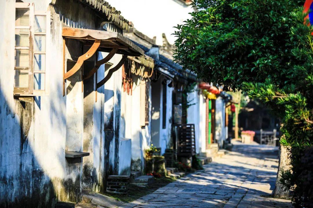 小犀牛救援